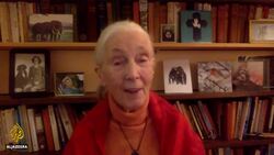 Jane Goodall: To fix the environment, fix poverty | The Bottom Line News Clip