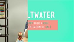 The Basics of Freshwater Instructional Video