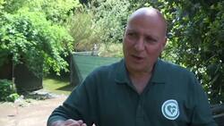 Baby flamingos hatch at Rome Zoo Instructional Video