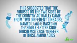 There Probably Aren't Different Strains of SARS-CoV-2 (Yet) Instructional Video