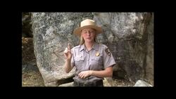 Public Videophone Instructional Video