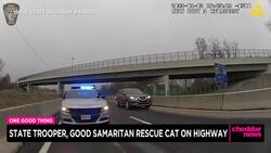 One Good Thing: Trooper The Cat News Clip