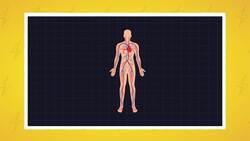 I WONDER - Do We Have Electricity In Our Bodies? Instructional Video