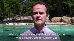 Financial burden mounts for London Zoo amid Covid-19 lockdown News Clip