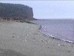 Exploring Earth, Sun, and Moon: Tides Instructional Video