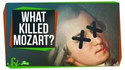 Mozart's Mysterious Death Instructional Video