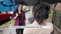 Pitbull attack sends 4-year-old to the hospital News Clip