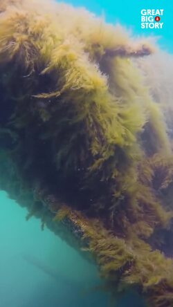 Discovering the hidden shipwrecks of the Great Lakes	 Instructional Video