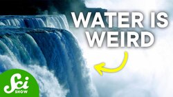 The Erratic Behavior of Water Instructional Video
