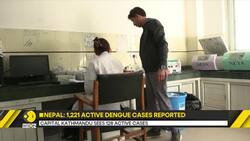 Dengue cases surge in Nepal, 1,221 cases reported News Clip