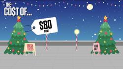 The Cost Of: How much are Christmas trees this year? News Clip