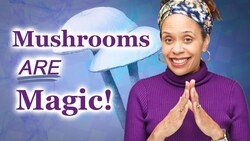 Here's Why You Want To Know About Mushrooms and Depression Instructional Video