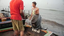 Fishermen preparing their boats and nets in Venezuela News Clip