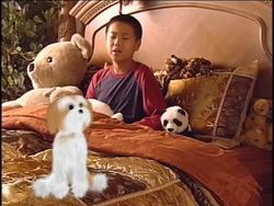 Introducing Yourself in Mandarin Instructional Video