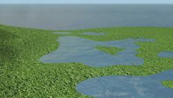 Gulf of Mexico’s ‘dead zone’ may be the biggest on record Instructional Video