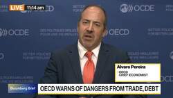 World Economy Faces Trade and Debt Dangers, OECD Warns News Clip