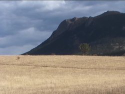 Exploring Marine Biomes: the Vast Ocean Instructional Video