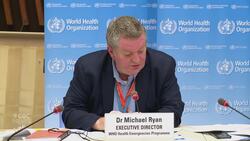 Brazil deeply affected by COVID-19 due to high population, WHO says News Clip