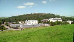 Scientists Work to Develop Climate-Resilient Crops to Combat Global Food Insecurity Instructional Video