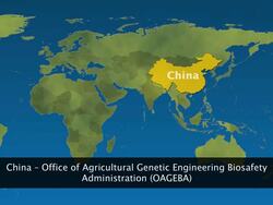 Biotechnology and Ethical Issues Instructional Video