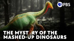 The Mystery Of The Mashed-Up Dinosaurs Instructional Video