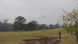 Wild bushfires continue to burn uncontrolled in New South Wales News Clip