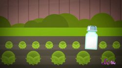 Solar-Powered Slugs Instructional Video