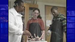 Can Virtual Dissection Replace Traditional Hands-on Dissection News Clip