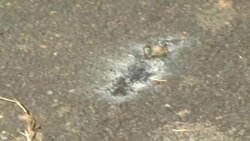 CLEAN : Cholet blast: traces of impact visible, the day after the deadly fireworks News Clip