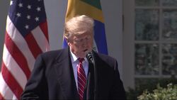 Trump praises Brazil's far-right president at WH Instructional Video