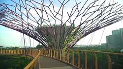 Supertree Grove, Where Nature Meets Futurism in Singapore Instructional Video