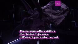 Roaring into the past: Denmark's first dinosaur museum unveils evolutionary wonder News Clip