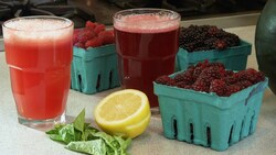 How to Make Fresh Fruit Soda Instructional Video