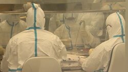 Valneva covid vaccine development News Clip