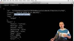 The Complete Practical Docker Guide - What is Entry Point and Where is it Located Instructional Video