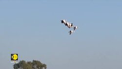 Punjab faces migratory bird decline due to climate shifts News Clip