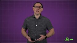 These Lice Dive Kilometers Under the Ocean! Instructional Video