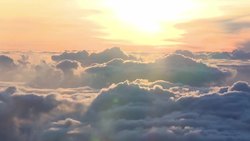 Yoga History and Benefits Instructional Video