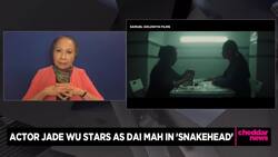 Jade Wu on Studying Up on War for Role in Chinatown Crime Drama 'Snakehead' News Clip