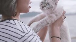 Young woman playing with her cat by the lake. Stock Footage
