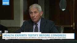 Health Experts Optimistic On Vaccine Approval By End of 2020 News Clip