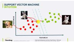Create a computer vision system using decision tree algorithms to solve a real-world problem : Project Solution: Detecting Cars Using SVM - Part #1 Instructional Video