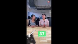 Stock Market India- Nifty updates for 8th April News Clip