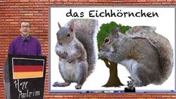 German for Beginners #42: Forest Vocabulary Instructional Video