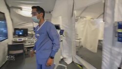 California credits early mandatory lockdown for flattening curve News Clip