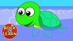 Tiny Tim Instructional Video