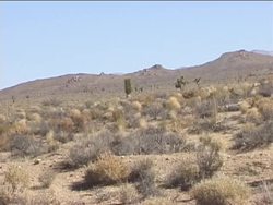 Forces Shaping the Earth: Wind Instructional Video