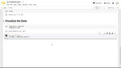 Deep Learning - Computer Vision for Beginners Using PyTorch - Data Visualization Instructional Video