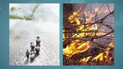 I WONDER - Does Climate Change Impact Habitats? Me Pregunto - El Cambio Climático Impacta Los Hábitats? Instructional Video