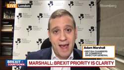 Business Priority Is Clarity: British Chambers of Commerce News Clip